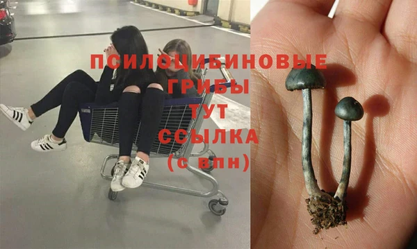 марихуана Алексеевка