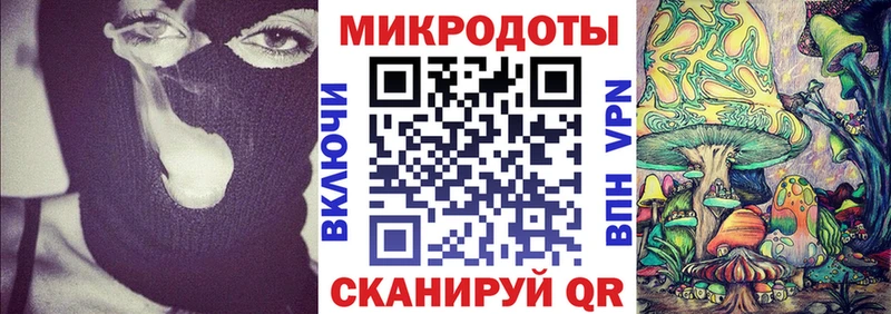 Галлюциногенные грибы Psilocybine cubensis  Кондопога 